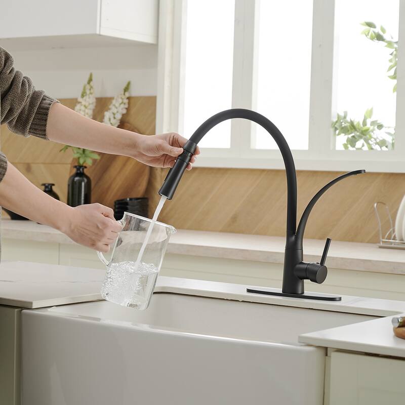 WIZ Single-Handle Pull-Down Sprayer 2 Spray High Arc Kitchen Faucet