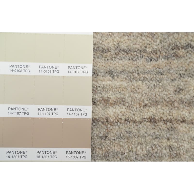 Hand Knotted Oriental 100% Wool Carpet Tribal Animal Pictorial Beige & Ivories Gabbeh Area Rug - 7' 10'' X 5' 1''