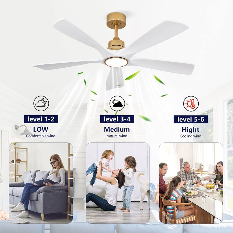 52" Ceiling Fans with Lights and Remote Control, Dimmable LED, Reversible DC Motor