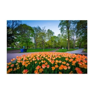 Toronto Ontario Canada Queen s Park Tulips Parks Art Print/Poster - Bed ...