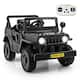 Option Black