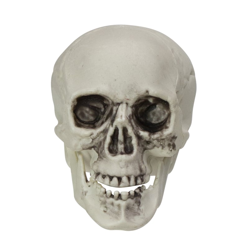 Skeleton Skull Halloween Decorations - 3.5" - Pack of 6