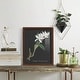 preview thumbnail 84 of 118, Orchid on Slate III -Framed Print w/glass-Cherry Red