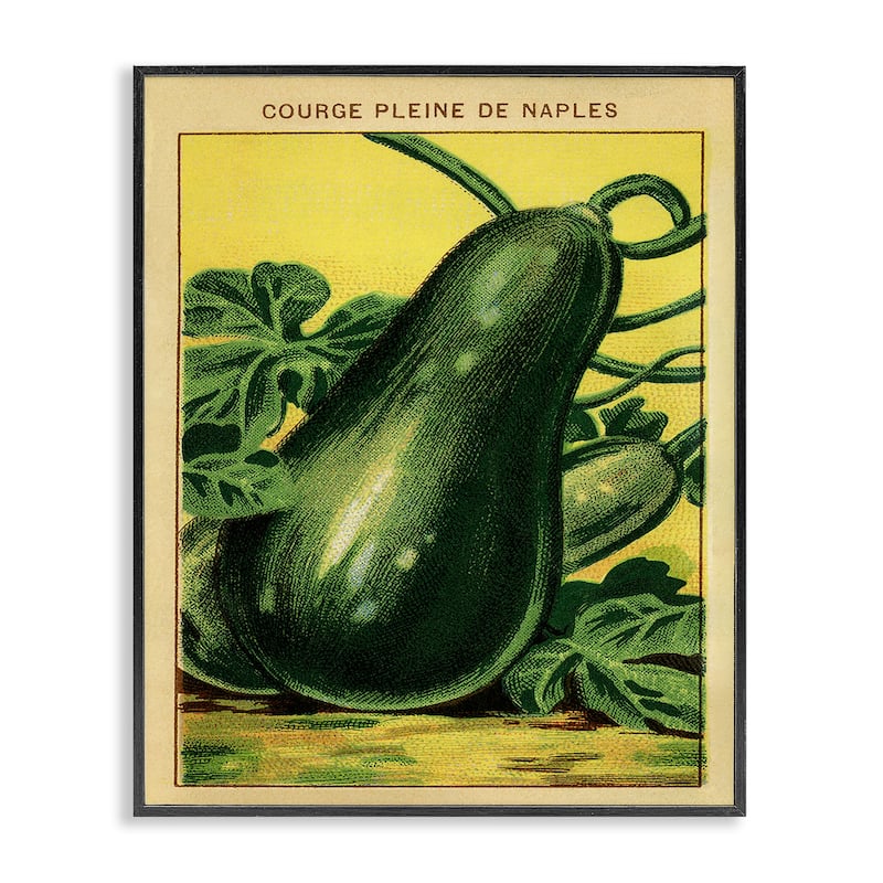 Stupell Country Vintage Squash Framed Giclee Art Design By Lil' Rue - 11 x 14 - Black