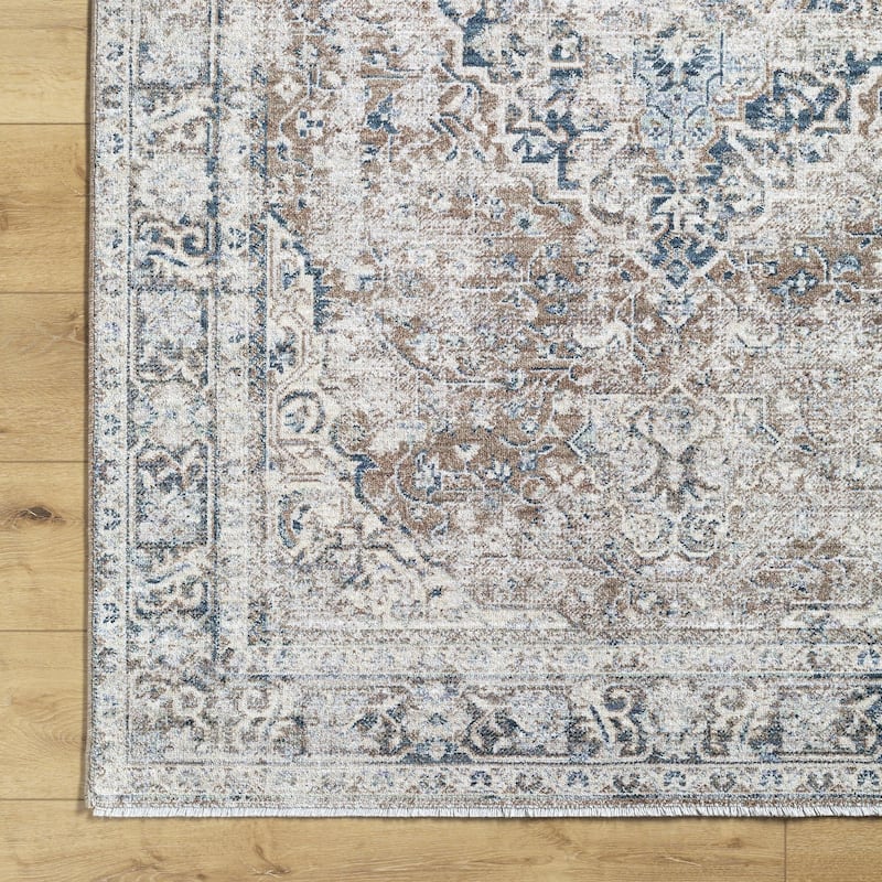 Dobbins Traditional Medallion Area Rug