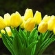 preview thumbnail 9 of 20, Enova Home 20 Pieces Artificial Real Touch Tulips Fake Silk Flowers Arrangement in Glass Vase with Faux Water for Home Decor