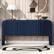 Option Navy Blue