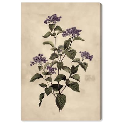 Purple Hydrangea Canvas by Art Remedy, Gallery Wrapped