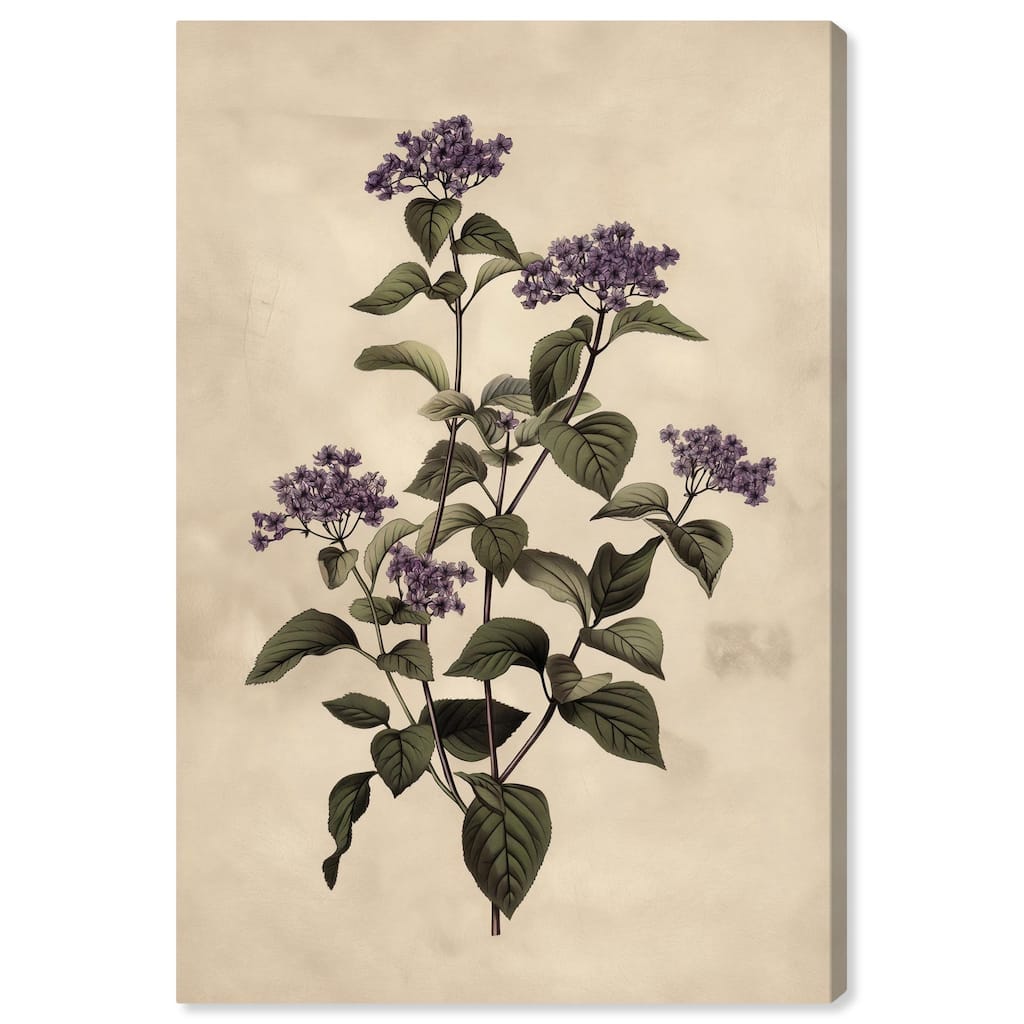 Purple Hydrangea Canvas by Art Remedy, Gallery Wrapped