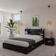 Option Black
