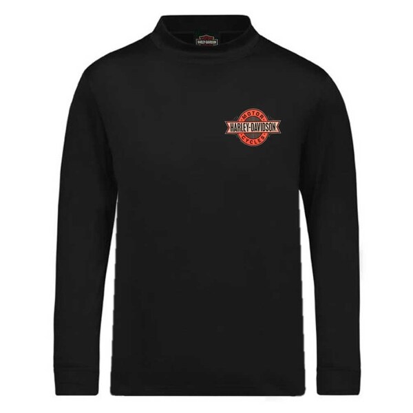 Download Shop Harley-Davidson Men's H-D Banner Stripe Mock-Neck ...