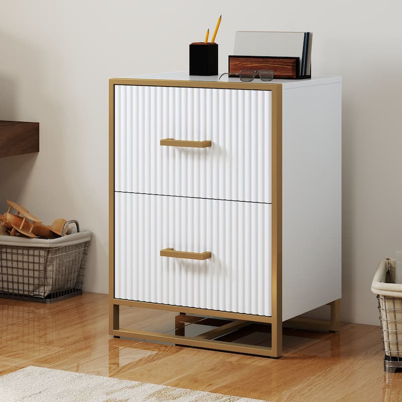 Moasis 2 Drawer File Cabinet with Gold Metal Handle - White