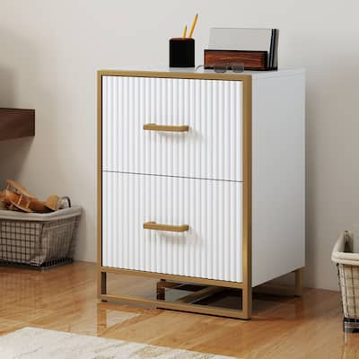 Moasis 2 Drawer File Cabinet with Gold Metal Handle