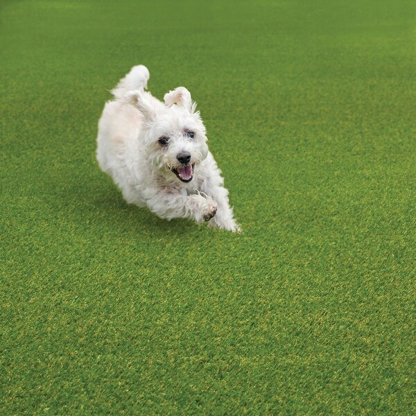 Style Haven EZ Care Artificial Turf Indoor/Outdoor Pet Friendly