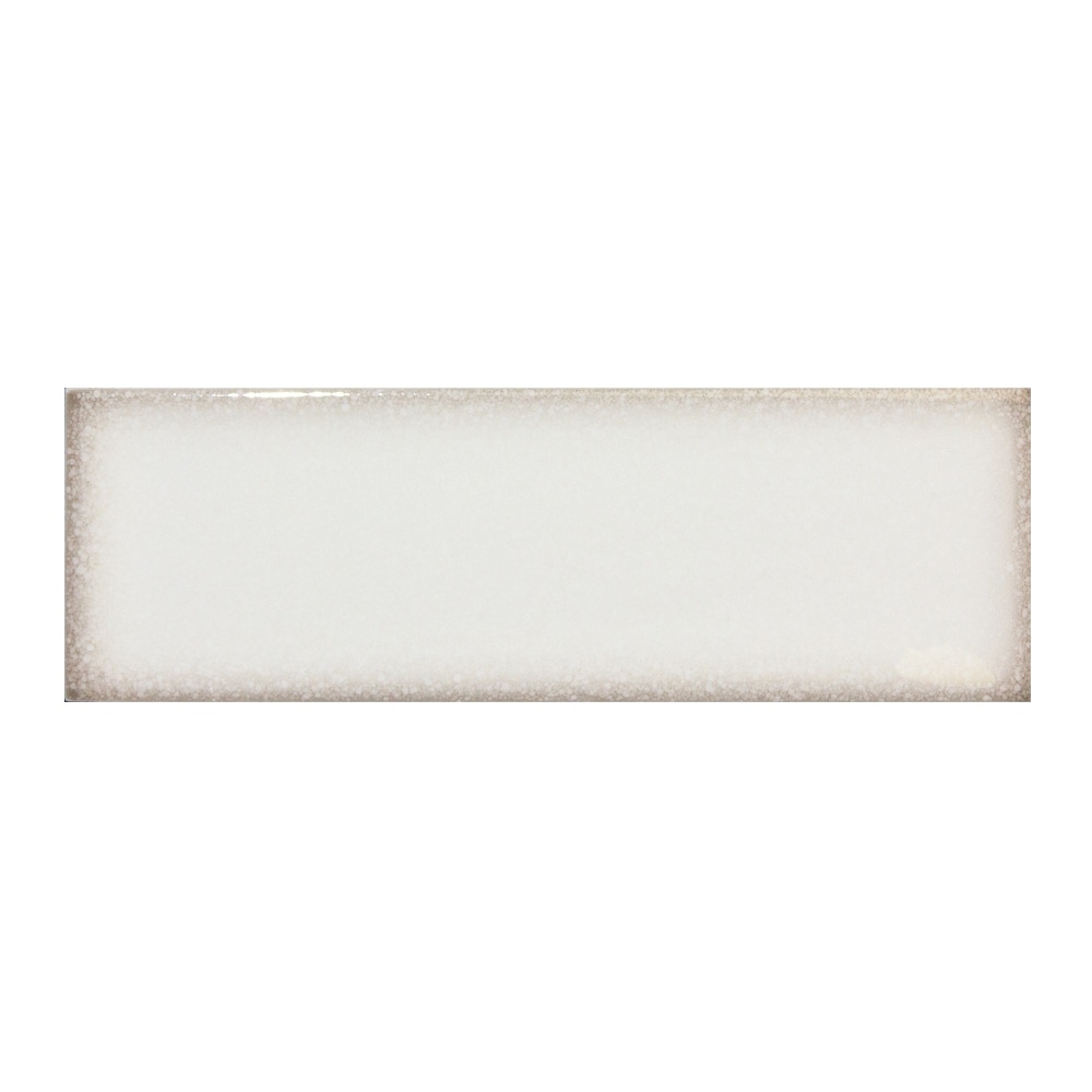 The Tile Life Coast 2.5 x 8 Glossy Porcelain Subway Wall Tile