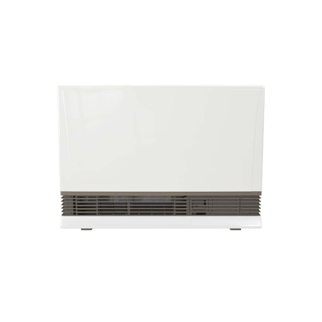Rinnai EX38DTN 38,400 BTU Energy Star Certified Natural Gas Heater