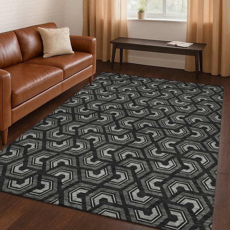 Machine Washable Indoor/ Outdoor Modern Zoa Chantille Rug