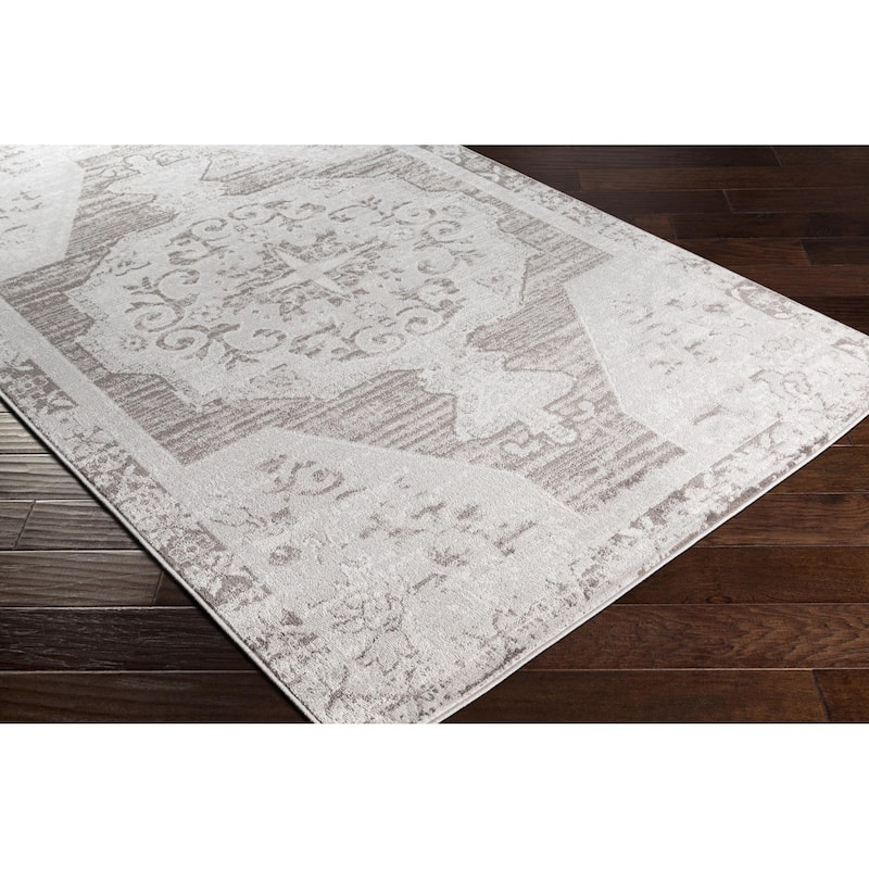 Livabliss St Tropez Updated Traditional Medallion Area Rug.