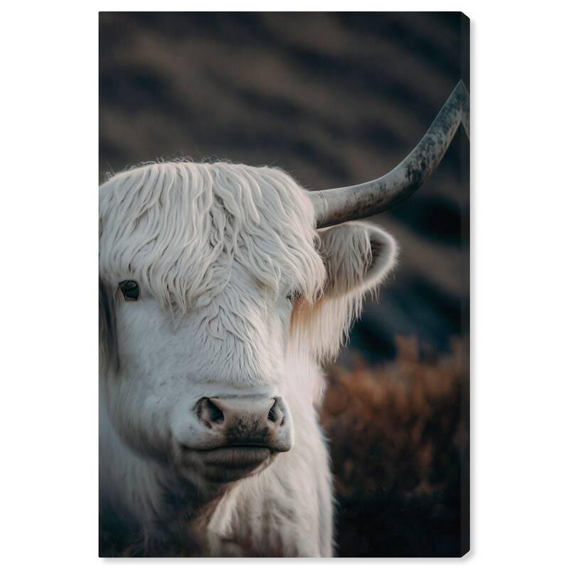 Wynwood Studio Canvas Animals White Highland Cow White and Cream White Rustic Wall Art Canvas Print - White, Gray