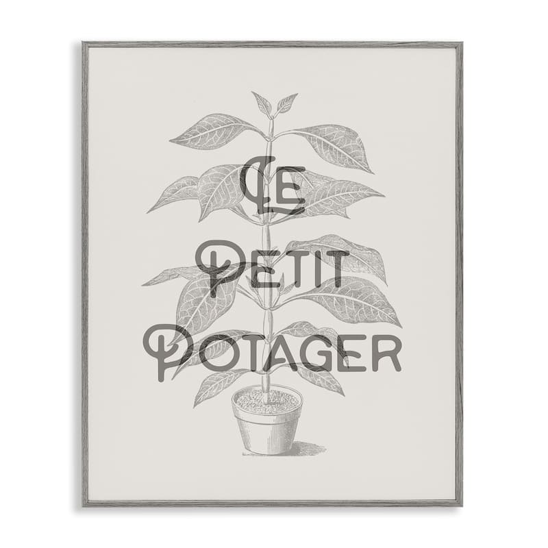 Stupell Vintage French Plant Phrase Framed Giclee Art Design By Lil' Rue - 11 x 14 - Grey