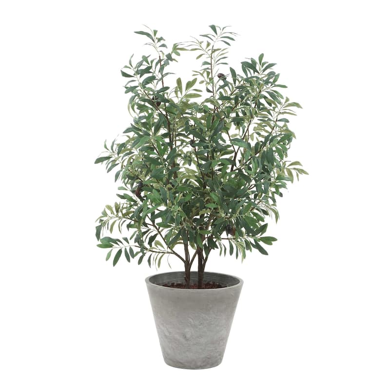 Uttermost Marisol Potted Olive Plant - 28.50" W x 45.25" H x 26.50" D