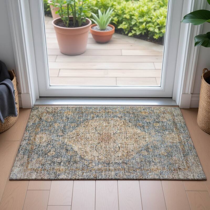 Machine Washable Indoor/Outdoor Traditional Global Chantille Rug