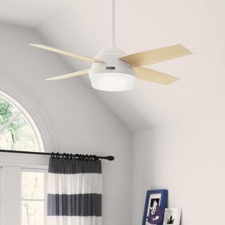 Hunter 44" Dempsey Ceiling Fan with LED Light Kit and Handheld Remote - Contemporary, Transitional, Industrial