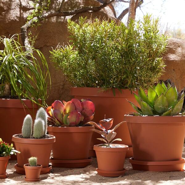 Bloem Terra Pot 14-inch Terra Cotta Planter - Bed Bath & Beyond - 14326299