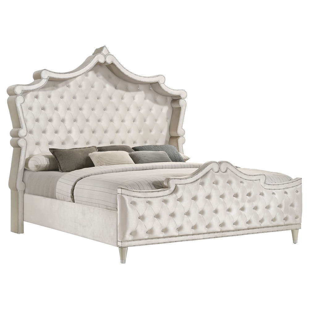 Antonella Modern Classic Velvet Upholstered Panel Bed