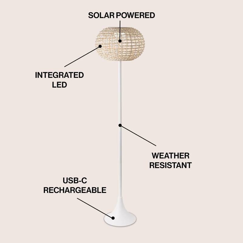 58" Integrated Indoor/Outdoor LED Solar Powered Floor Lamp