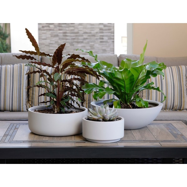 NEIGHBORHOOD TSUKAMOTO . SRL ROUND PLANT POT . CE