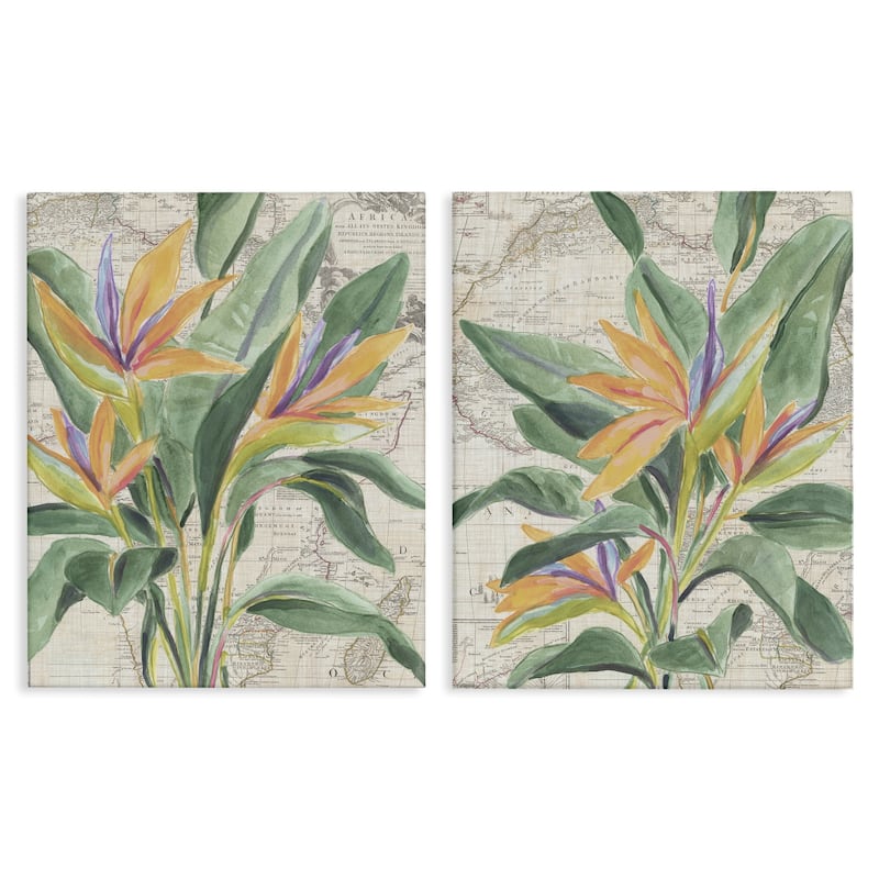 Stupell Flowers over Vintage Map Canvas Wall Art Design By June Erica Vess (Set of 2) - 16 x 20