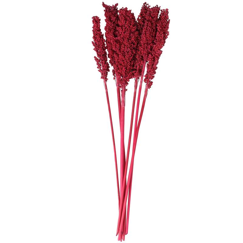 Pink Dried Plant Corn Maze Home Decor Natural Foliage with Long Stems