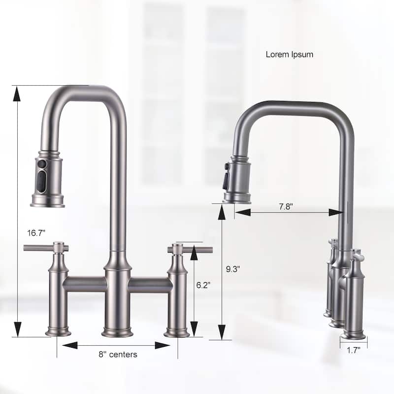 WOWOW Double Handle Bridge Kitchen Faucet with Advanced Spray