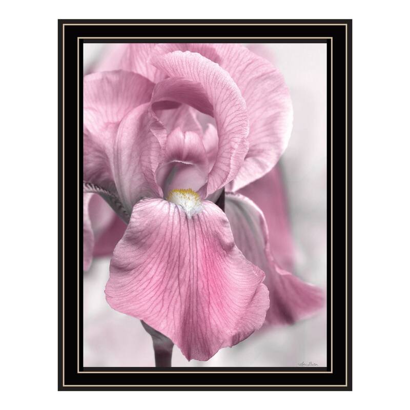 TrendyDecor4U "Pink Iris" Framed Print Wall Art - Multi