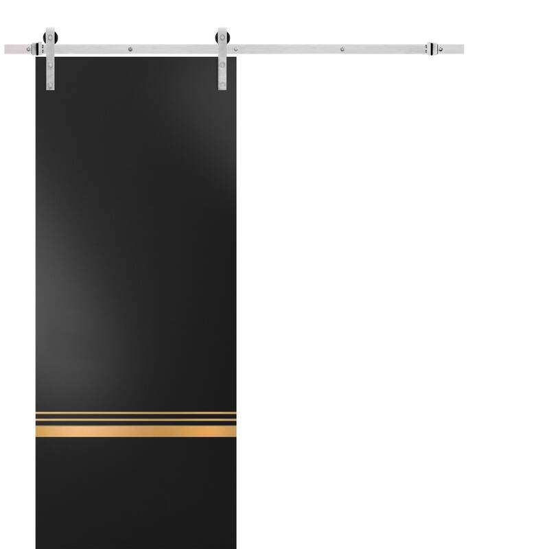 Sturdy Barn Door 18 x 80 Planum 2010 Matte Black with 6.6FT - Black - 32" x 96"