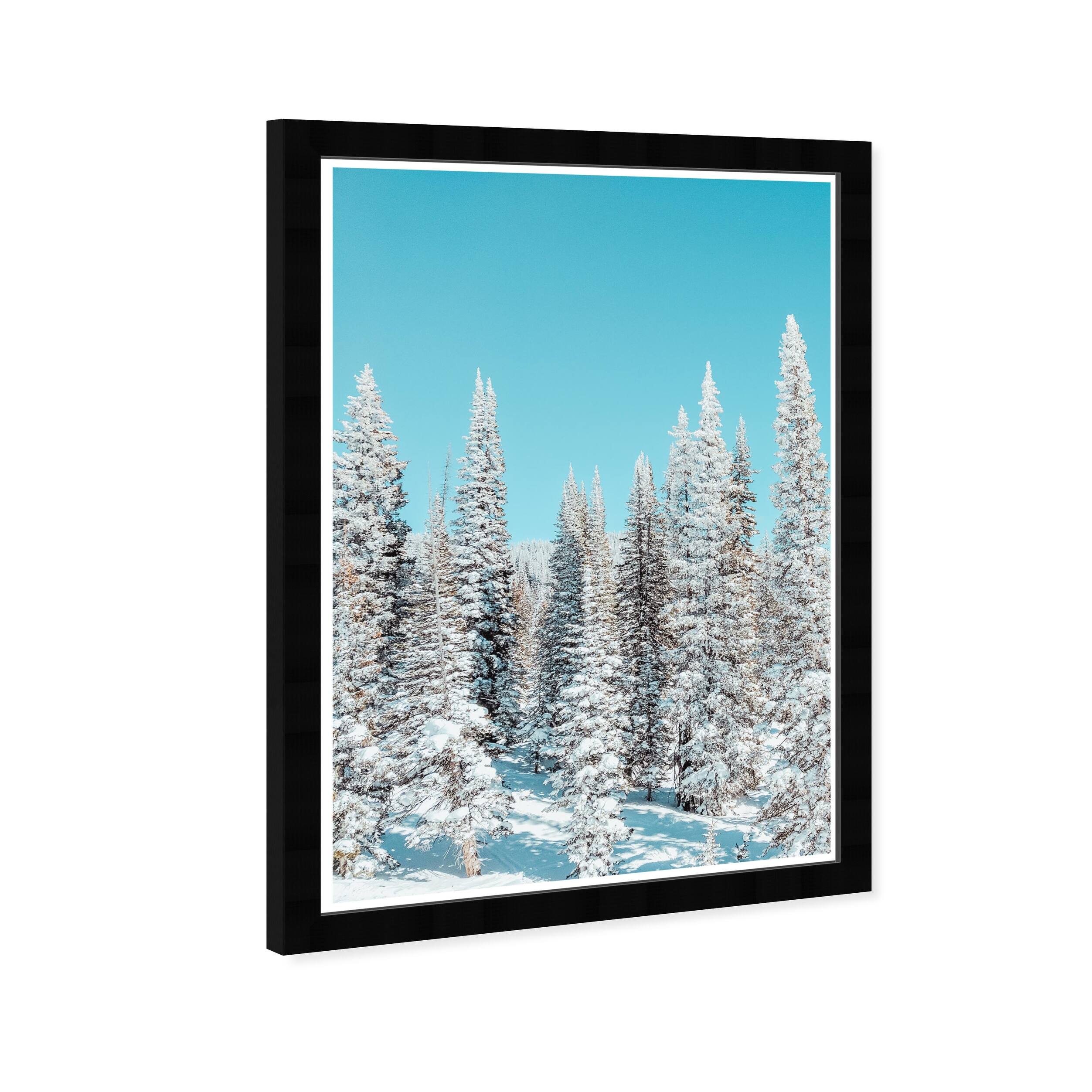 Wynwood Studio Prints Holiday and Seasonal Snowy Pine Trees Blue and