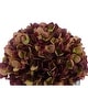 preview thumbnail 21 of 21, Faux Hydrangea in Small Black Cube Ceramic Vase