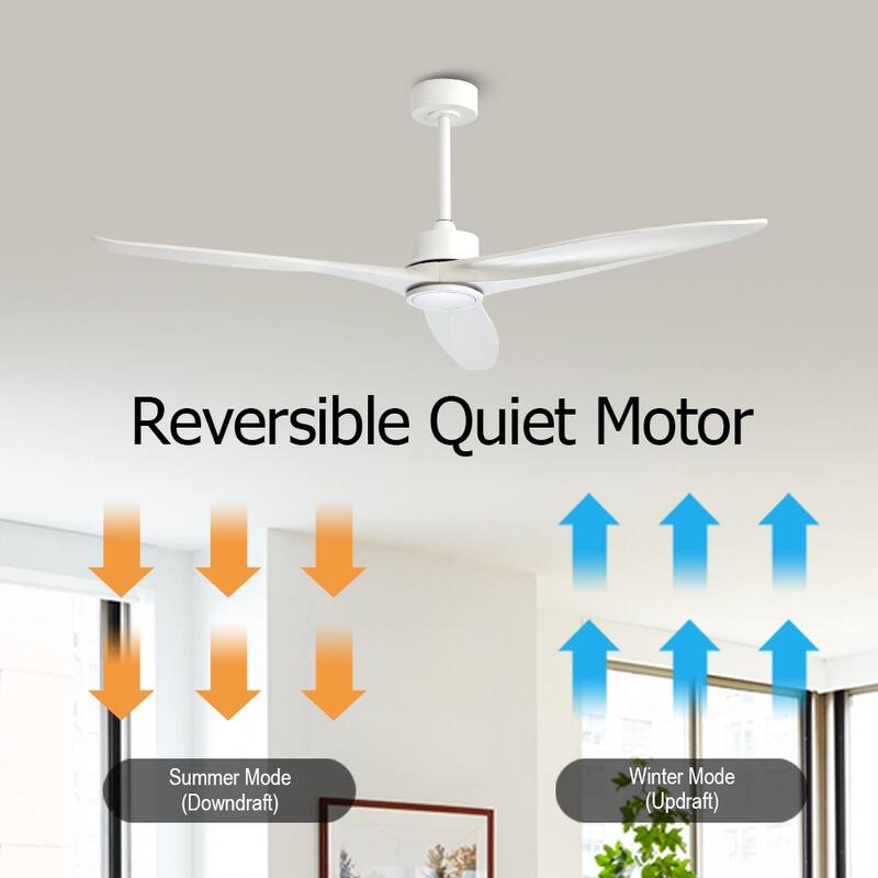 WINGBO 60" Solid Wood DC Motor Indoor Ceiling Fan with Remote Control