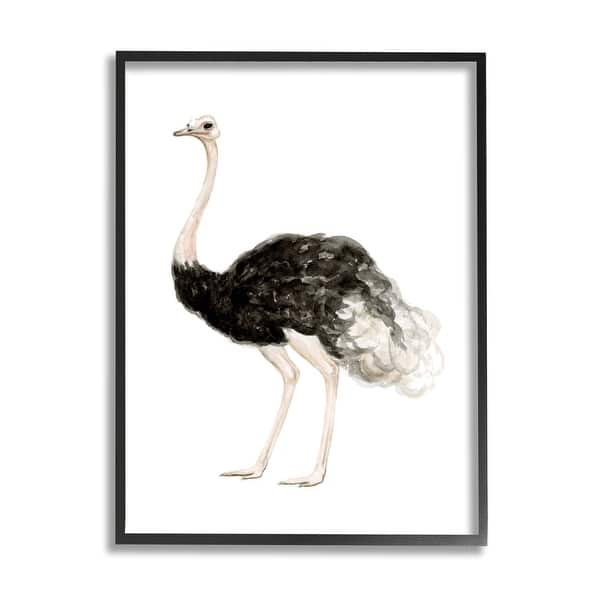Ostrich Painting Original Bird Gold Art Frame Artwork Black Bird Wall Art