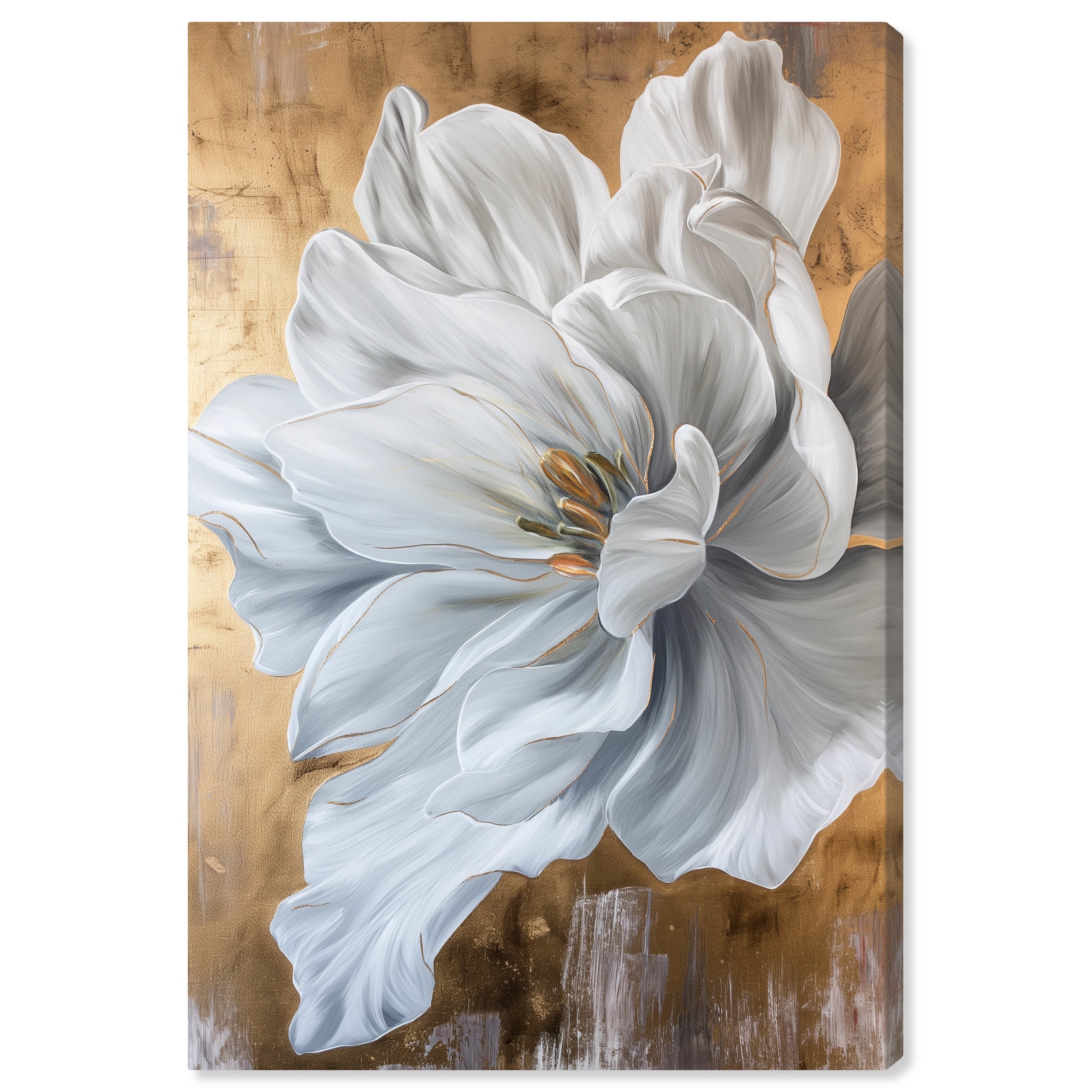 Art Remedy Bloom White Petals Gallery Wrapped Floral Fine 1 Piece Canvas Wall Art
