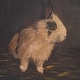 preview thumbnail 5 of 5, Uttermost Resting Bunny Framed Prints Set of 9