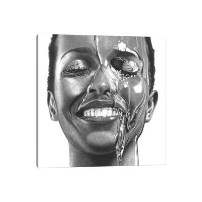 iCanvas "Honey II" by Paul Stowe Canvas Print
