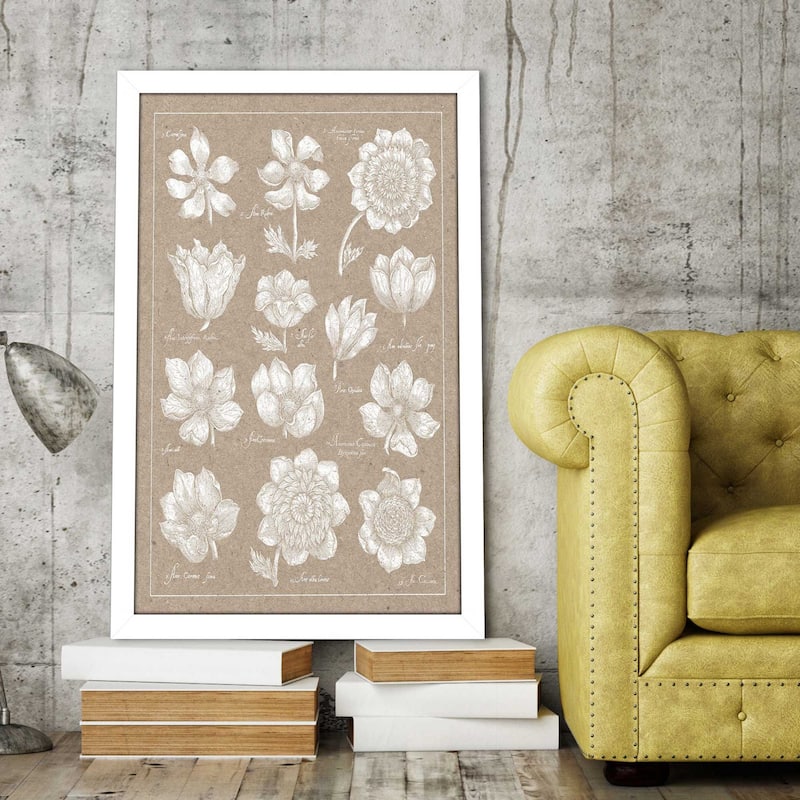 "Anemone Plate I" Print on Acrylic