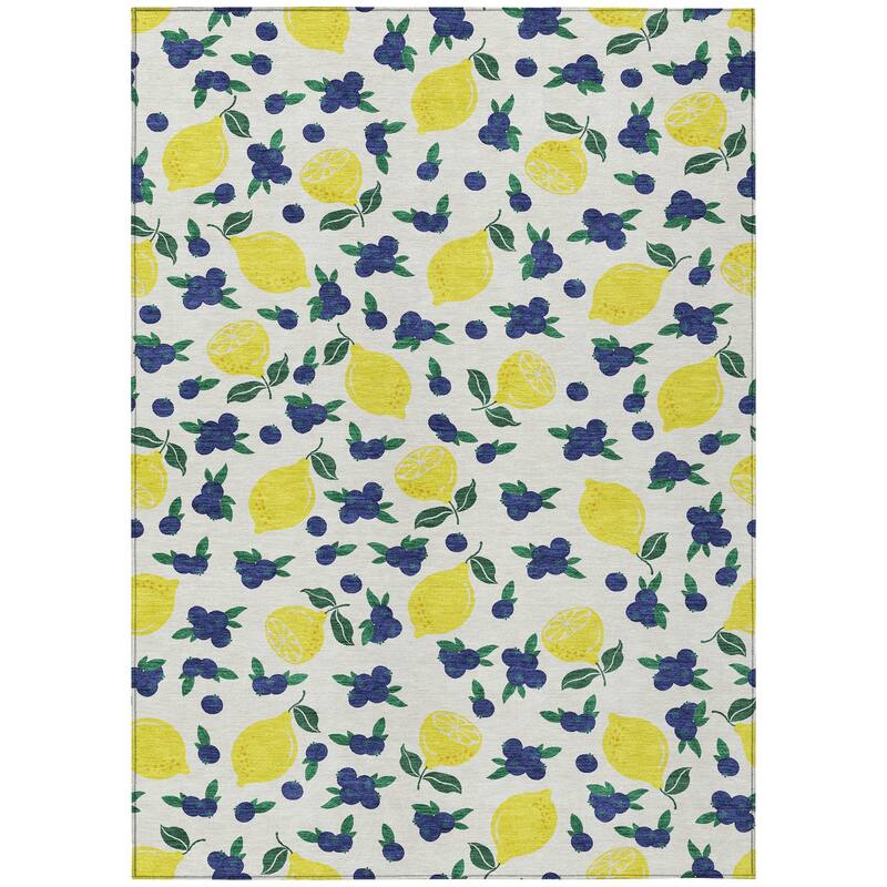 Machine Washable Indoor/ Outdoor Citrus Berry Chantille Rug