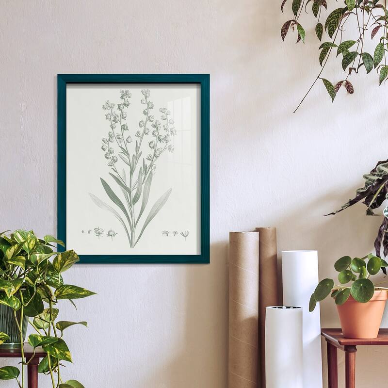 Botanical Study in Sage I -Framed Print w/glass-Cherry Red
