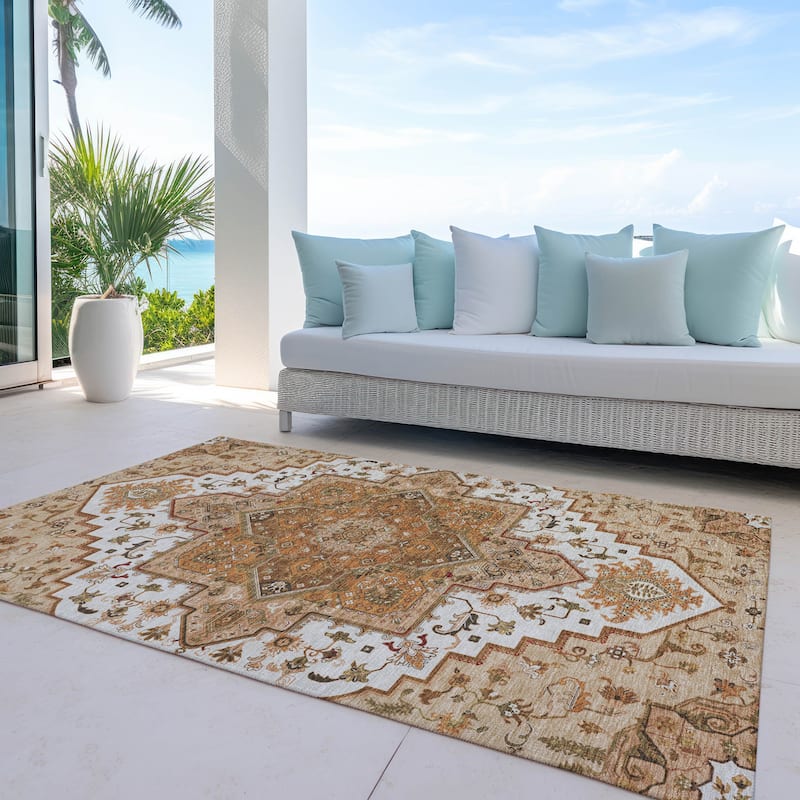 Machine Washable Indoor/ Outdoor Persian Traditional Chantille Rug