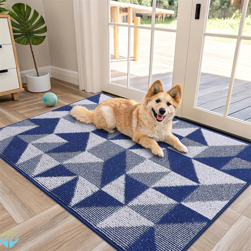 2 pack-Door Mat Indoor Entrance Washable