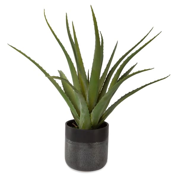 slide 2 of 3, Uttermost Tucson Aloe Planter - 17"W x 19"H x 17"D