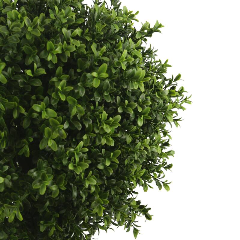 19" Ball-Shaped Boxwood Topiary in Plastic Liner - 19 inch
